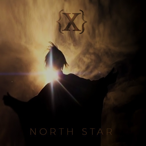 IAMX - North Star (Future Funk Squad Remix)